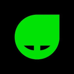 green SYLT