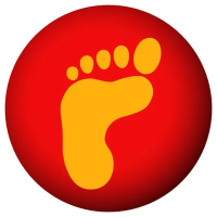 RICOSTA