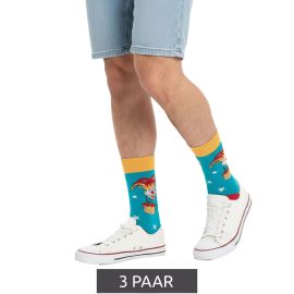 3-Paar-20S-JACK.jpg