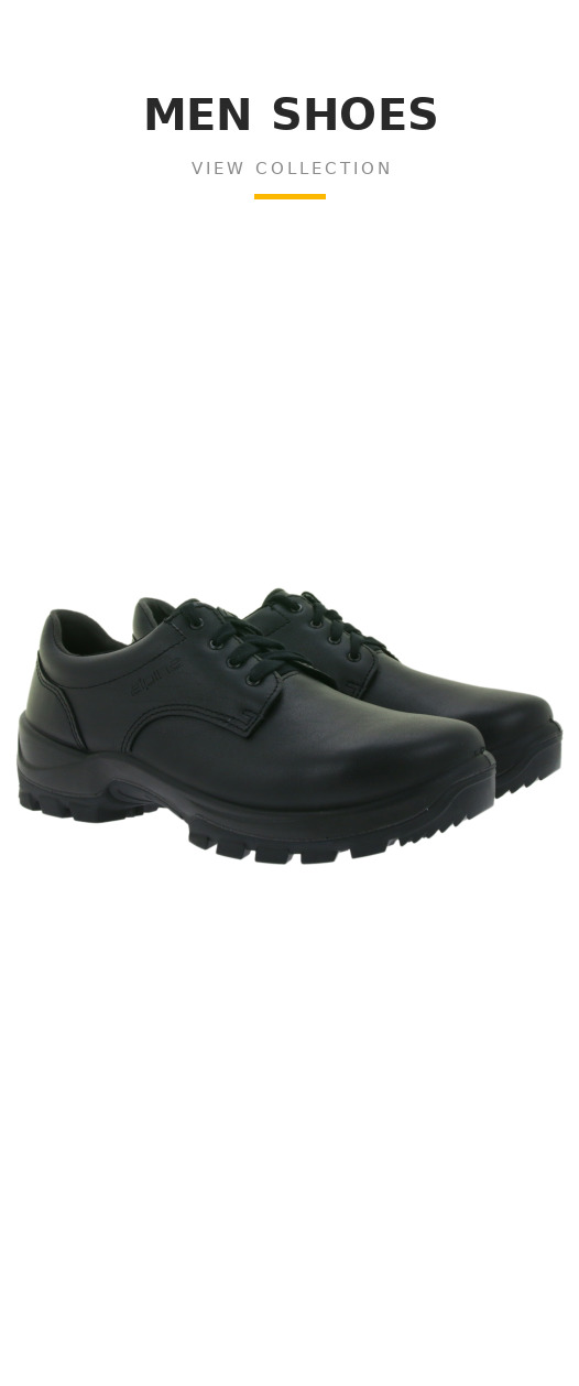 Men Shoes